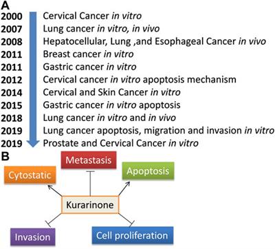 Five-Decade Update on Chemopreventive and Other Pharmacological Potential of Kurarinone: a Natural Flavanone